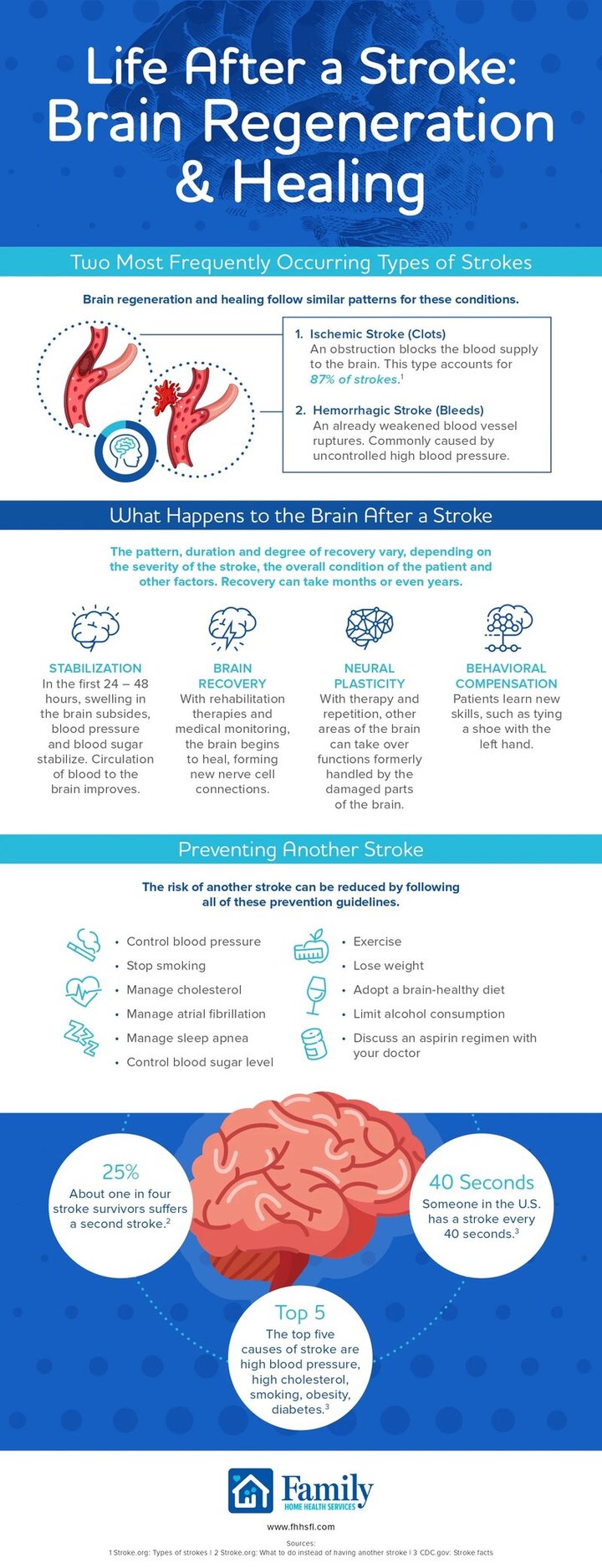 Life After a Stroke: Brain Regeneration and Healing